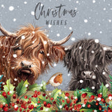 Highland Cow and Robin Christmas Card - 10 Pack