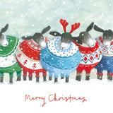 Christmas Sheep Christmas Card - 10 Pack
