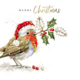 Festive Robin Christmas Card - 10 Pack
