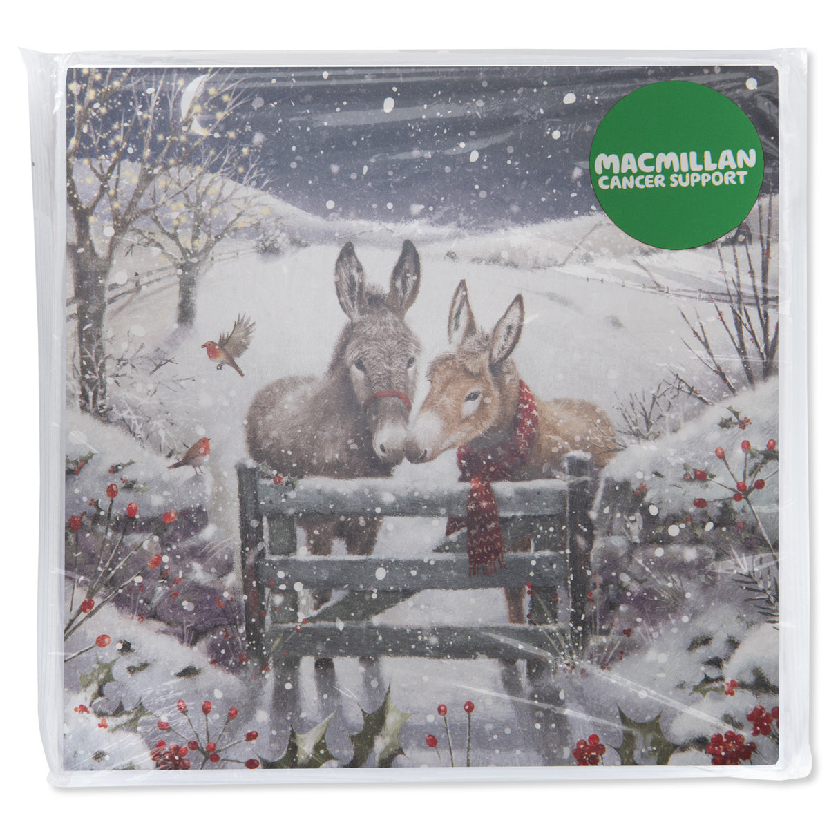 Donkey Medici Charity Weihnachtskarten – Packung Mit 8 Karten & Umschlägen, 141x141 Mm, Für Wohltätige Zwecke