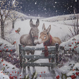 Winter Donkeys Christmas Card - 10 Pack