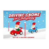 Driving Gnomes