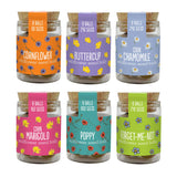 Wildflower Seedball Jars (set of 6)