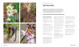 The Weekend Gardener