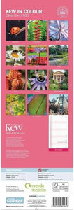 Royal Botanic Gardens Kew in Colour Slim Calendar 2025