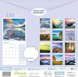 Mindful Life wall calendar 2025