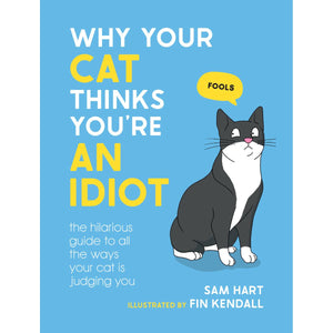 Why your cat thinks you’re an idiot