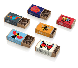 Wildlife Collection Seedball Boxes (Pack of 6)