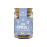 Wildflower Seedball Jars (set of 6)