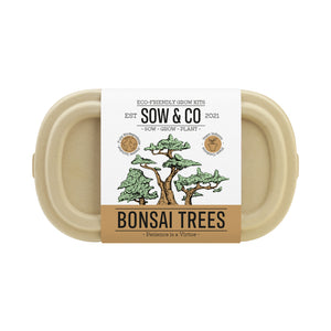Sow&Co Bonsai Kit