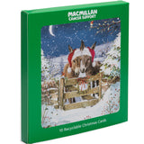 Donkeys Charity Christmas Card - 10 Pack
