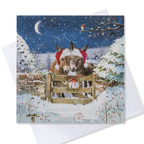 Donkeys Charity Christmas Card - 10 Pack