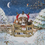Donkeys Charity Christmas Card - 10 Pack