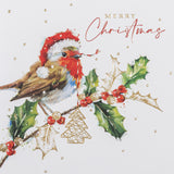 Robin and Holly Charity Christmas Card - 10 Pack