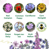Flowerfetti Personalised Seedball Box