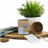 Chill Out - Grow Me Growing Kit