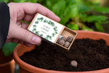 Botanical Personalised Seedball Box