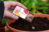Petals Personalised Seedball Box