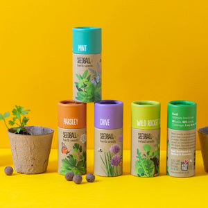 Herb Collection Seedball Tube (Pack of 5)