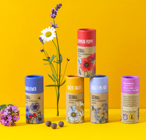 Wildflower Collection Seedball Tube (Pack of 5)