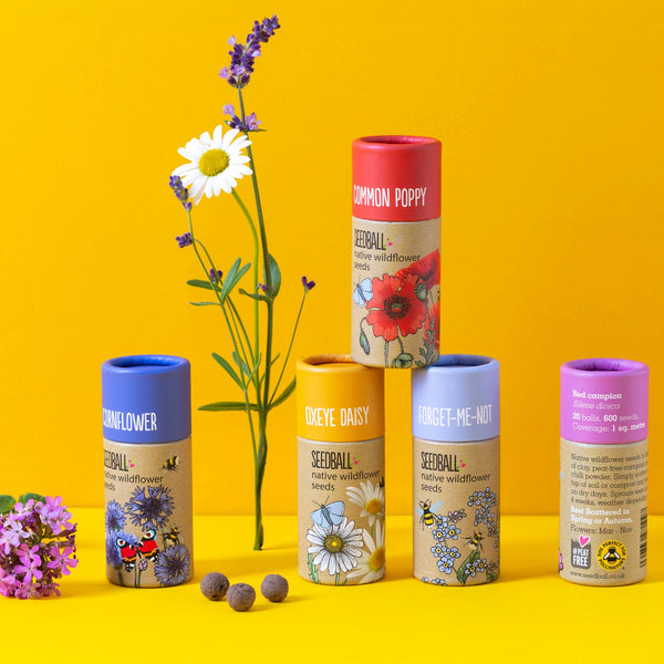 tube in a flower that makes seeds Wildflower Collection Seedball Tube (Pack of 5) – Macmillan Cancer Support  Shop