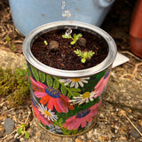 Seedball Wildflower Grow Kit - Chamomile