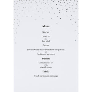 Silver Confetti Menu
