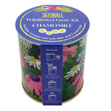 Seedball Wildflower Grow Kit - Chamomile