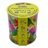 Seedball Wildflower Grow Kit - Forget-me-not