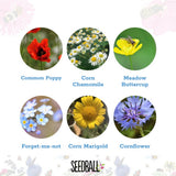 Wildflower Seedball Jars (set of 6)