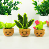 Mini Houseplants DIY Crochet Trio Kit