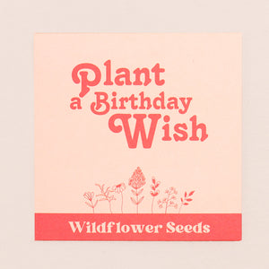 Plant a Birthday Wish