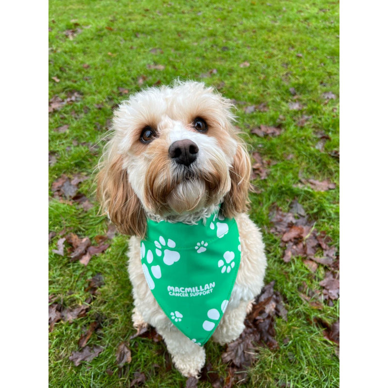 Emotional support dog top bandana